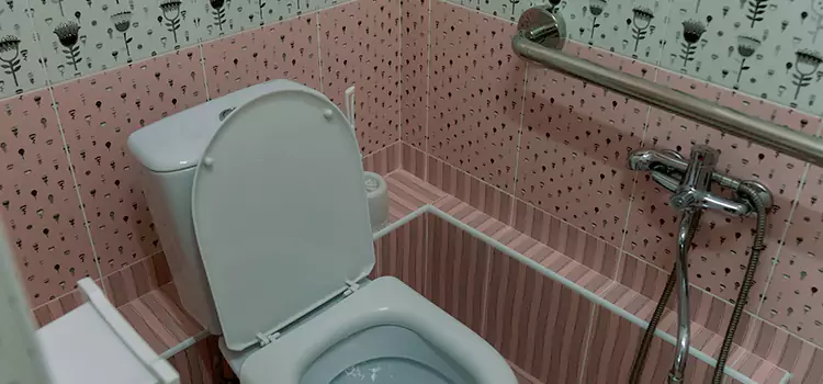 Meeting Diverse Needs With Accessible Restroom Solutions in Clarksville, IN